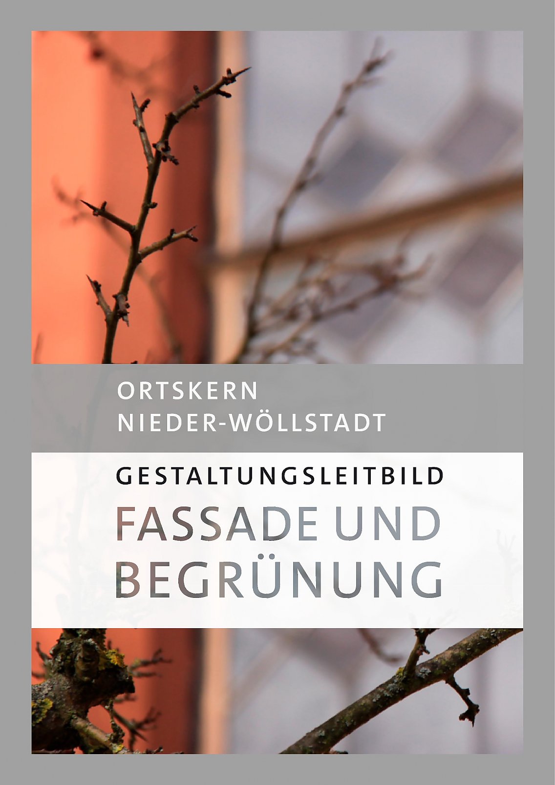 Titelblatt Gestaltungsleitbild Fassade und Begrünung in Nieder-Wöllstadt