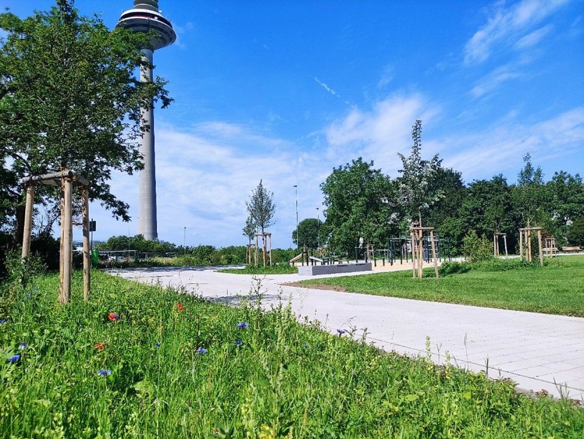 Grünanlage Platenstraße in Frankfurt am Main