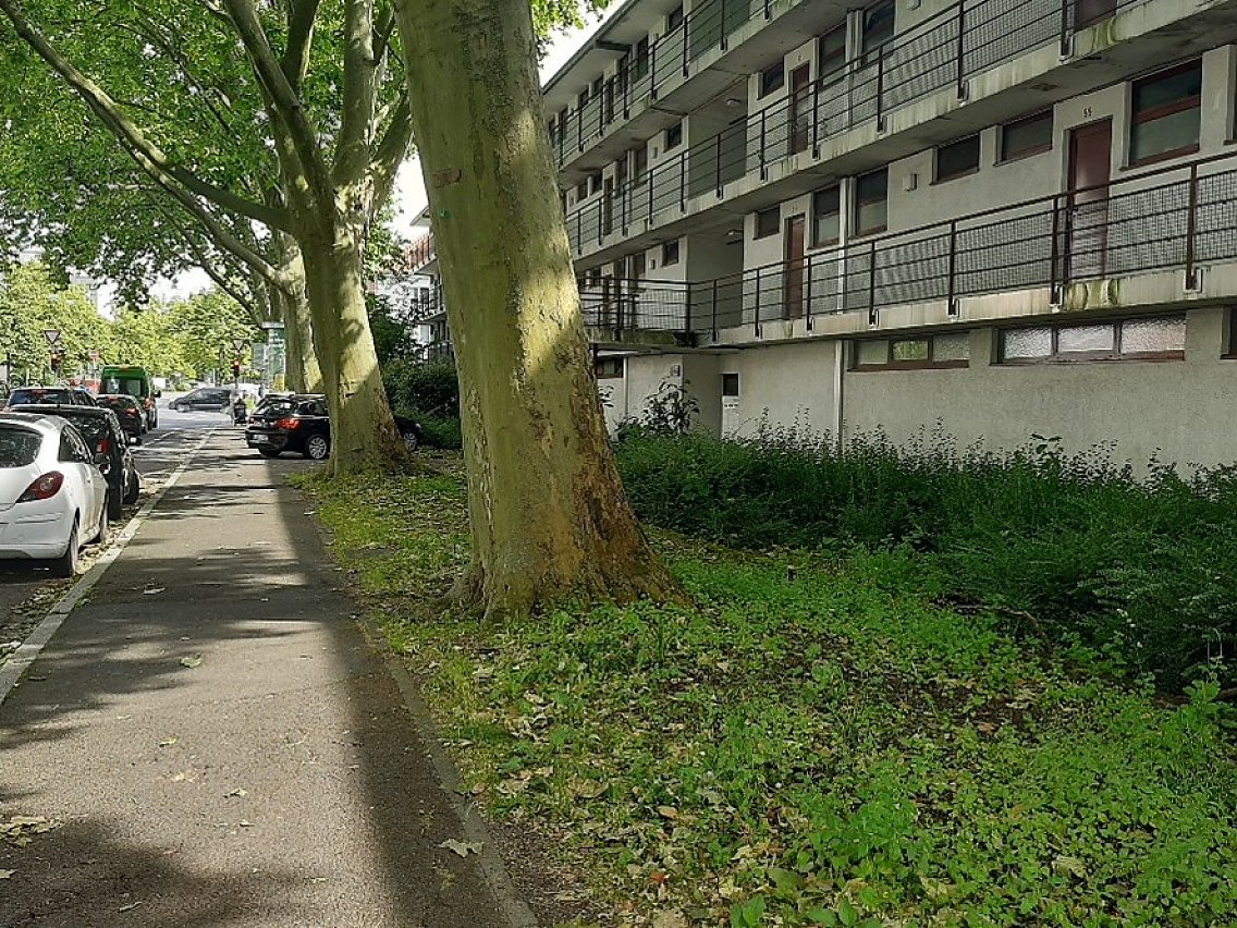 Gehweg Platenstraße in Frankfurt am Main