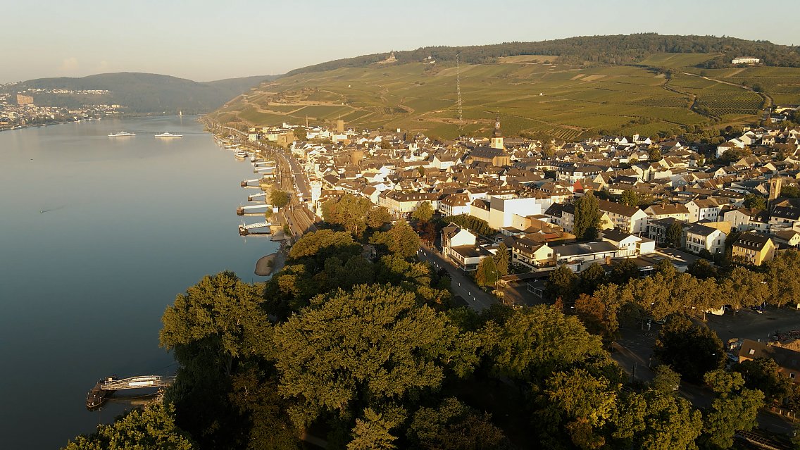 Blick auf Rüdesheim mit Fluss, Dachlandschaften und Weinbergen