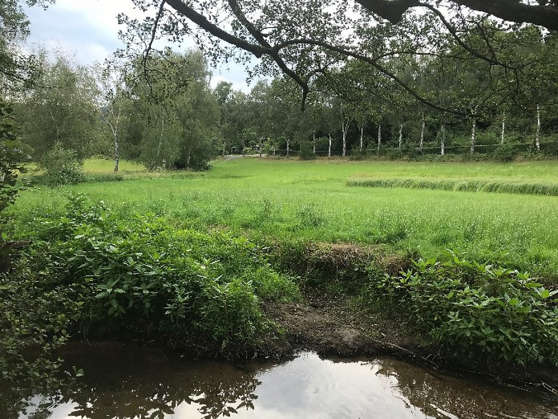 Ansicht Mergbach und Mergbachaue mit Verlauf des Fußwegs
