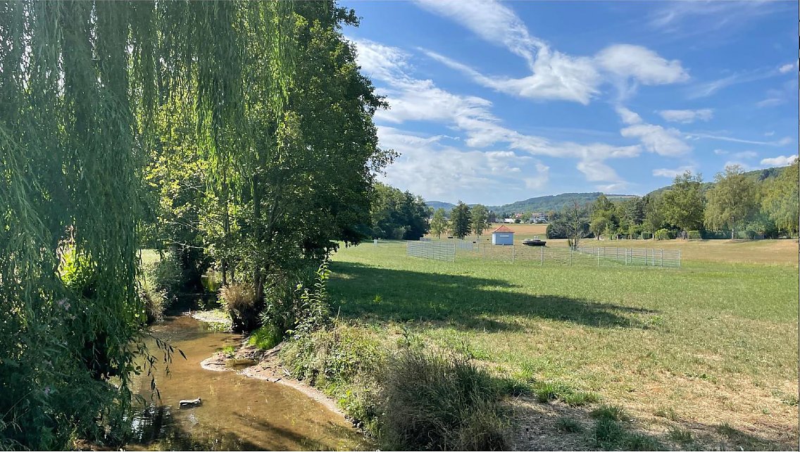 Ansicht Bestandssituation Mergbachaue