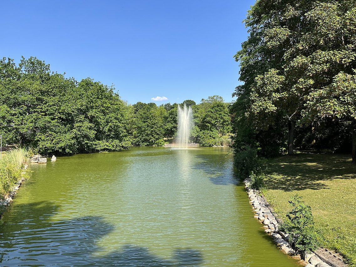 Miquelweiher in der Miquelanlage in Frankfurt am Main