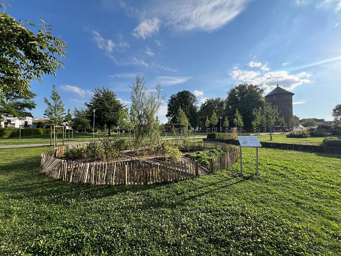 Schlosspark Butzbach, Kneipp-Naschbeet