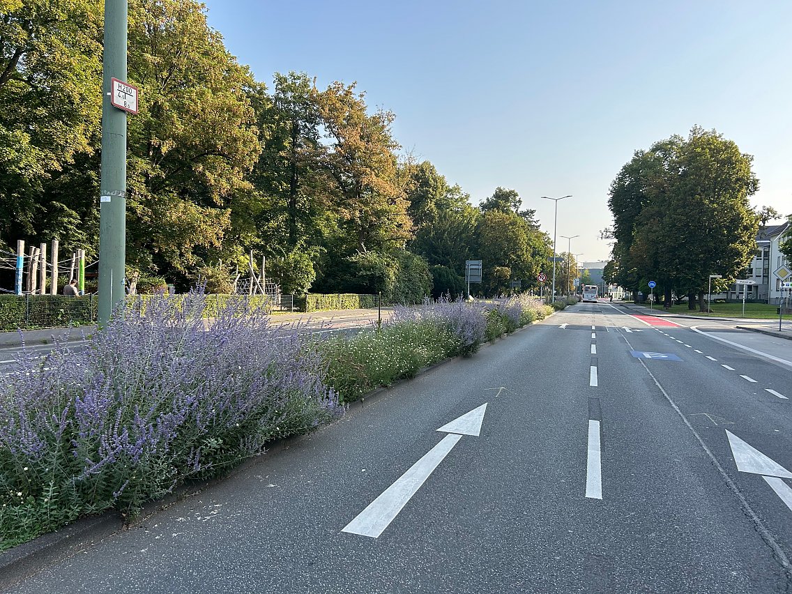 Staudenflächen Ostanlage Gießen