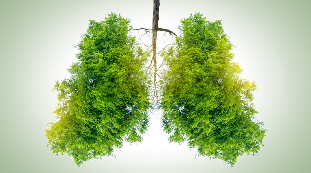 Logo des Hessischen Klimakontingentes – „Grüne Lunge“