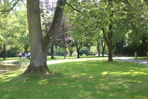 Schotten Alteburgpark AKB